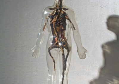 Skin Deep, 2009 Taxadermied rat, Visible Man educational toy, steel, linoleum, plastic, acrylic paint, sealants, mixed media, 17 x 7 x 9.5 in.